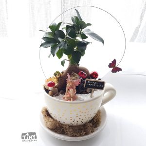 pot belly fig planter cup and saucer