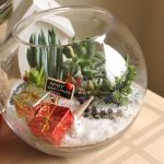 Christmas Theme Fish Bowl Succulent Terrarium